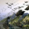 Warhawk Warhawk