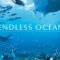 Endless Ocean Endless Ocean