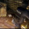 SWAT 4 SWAT 4