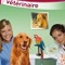 Real Stories Vétérinaire Real Stories Vétérinaire