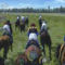 G1 Jockey 4 G1 Jockey 4