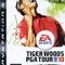 Tiger Woods PGA Tour 10 Tiger Woods PGA Tour 10