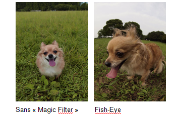 images/articles/article6215/004.png images/articles/article6215/004.png