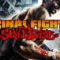 Final Fight Streetwise Final Fight Streetwise